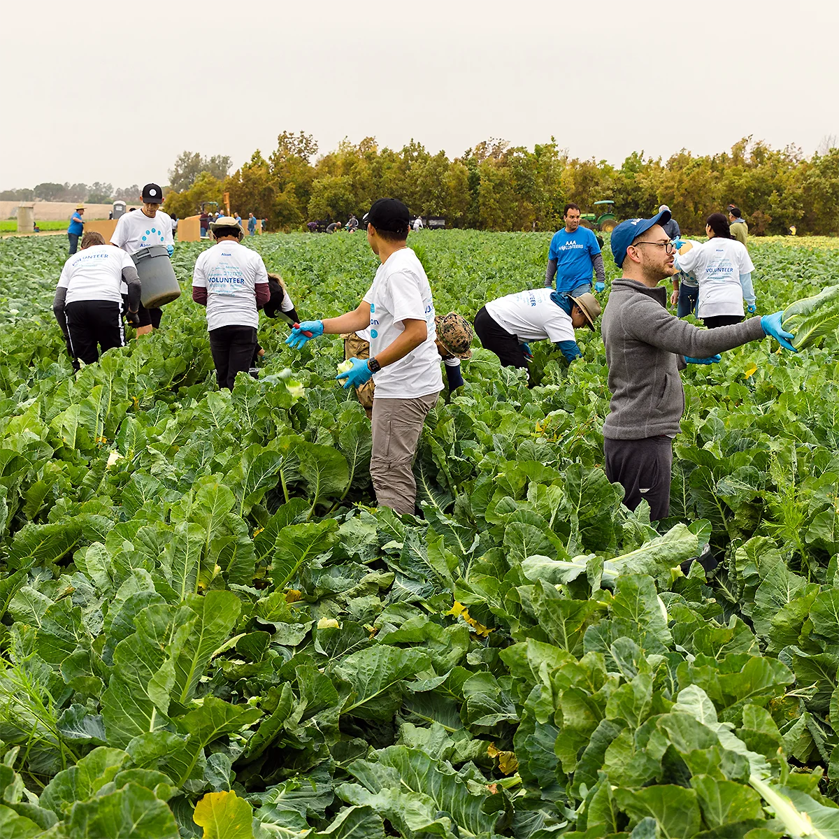 Orange County Hunger Alliance